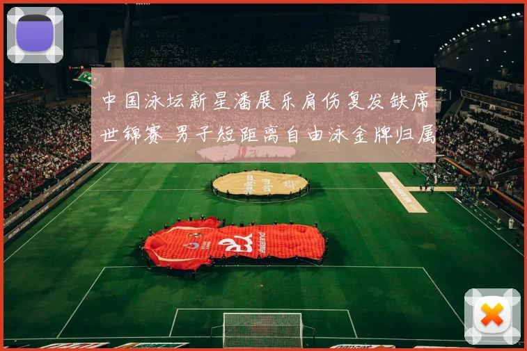 中国泳坛新星潘展乐肩伤复发缺席世锦赛 男子短距离自由泳金牌归属悬念陡增