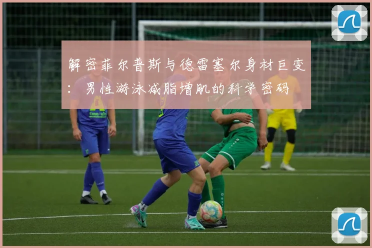 解密菲尔普斯与德雷塞尔身材巨变：男性游泳减脂增肌的科学密码