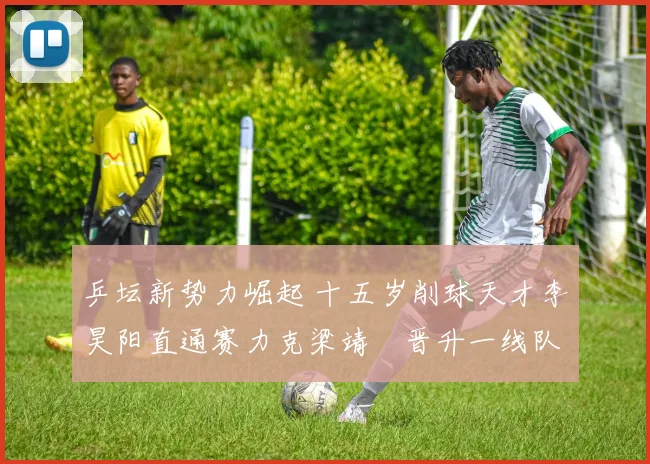 乒坛新势力崛起 十五岁削球天才李昊阳直通赛力克梁靖崑晋升一线队培养深度解析